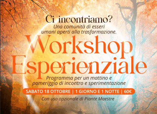 Cerchio di Incontro: Workshop Esperienziale